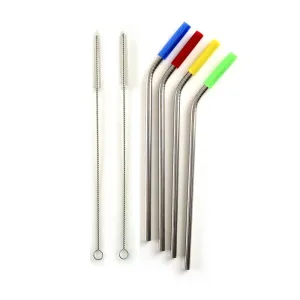 Silicone Tip Straw Set/4