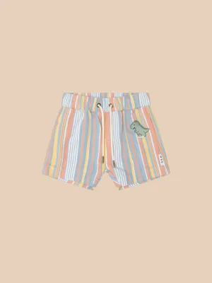 Vintage Stripe Chino Short - Multi